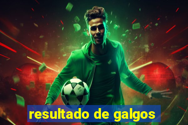 resultado de galgos